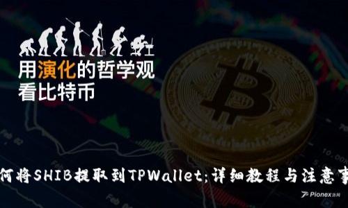 如何将SHIB提取到TPWallet：详细教程与注意事项