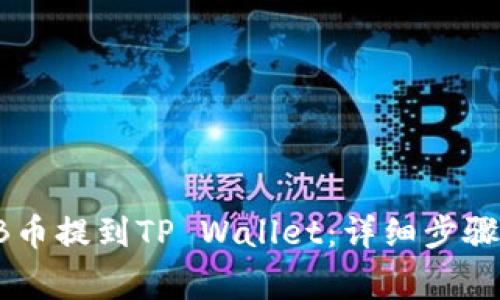 如何将SHIB币提到TP Wallet：详细步骤与注意事项