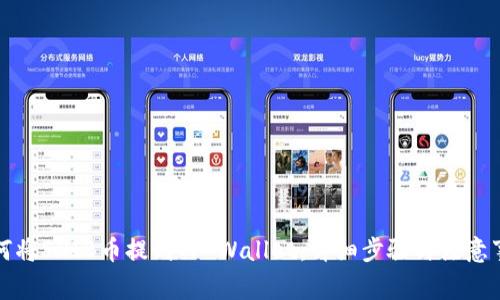 如何将SHIB币提到TP Wallet：详细步骤与注意事项