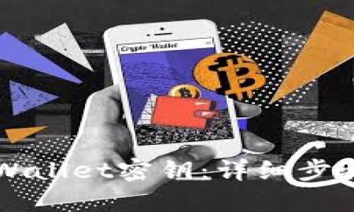 如何找到TPWallet密钥：详细步骤与实用指南