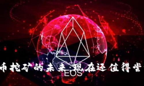 虚拟币挖矿的未来：现在还值得尝试吗？