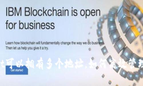 一款TP Wallet可以拥有多个地址，如何高效管理你的加密资产