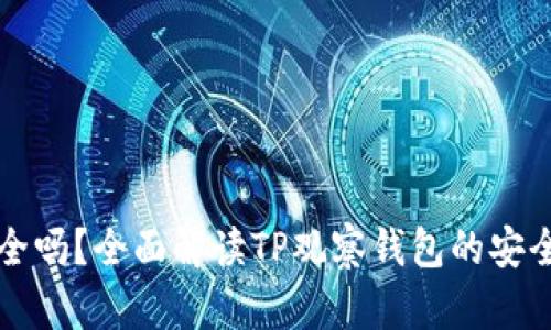 TP的观察钱包安全吗？全面解读TP观察钱包的安全特性与风险分析