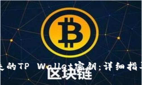 如何找回丢失的TP Wallet密钥：详细指导与注意事项