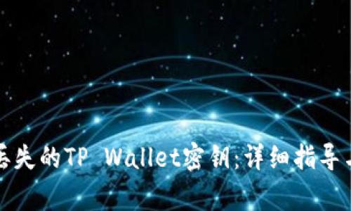 如何找回丢失的TP Wallet密钥：详细指导与注意事项