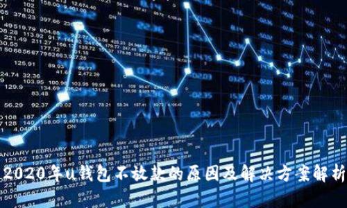 2020年u钱包不放款的原因及解决方案解析