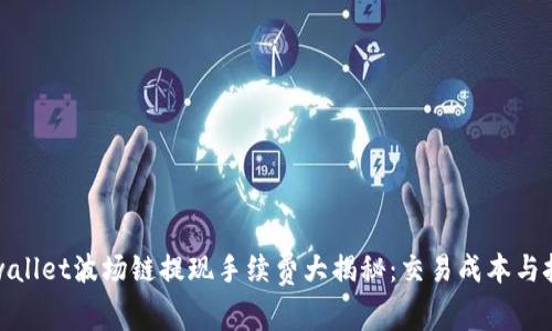 tpwallet波场链提现手续费大揭秘：交易成本与技巧