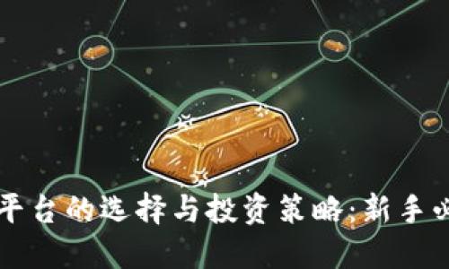 虚拟币平台的选择与投资策略：新手必看指南