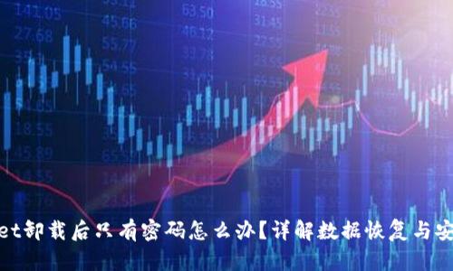 tpwallet卸载后只有密码怎么办？详解数据恢复与安全保护