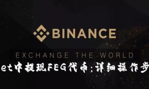 如何在TPWallet中提现FEG代币：详细操作步骤与注意事项