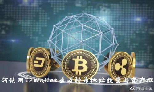 如何使用TPWallet查看持币地址数量与资产概况
