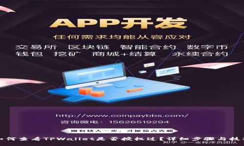 如何查看TPWallet是否授权过？详细步骤与技巧