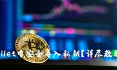 如何在TPWallet中安全导入私钥？详尽教程与注意事