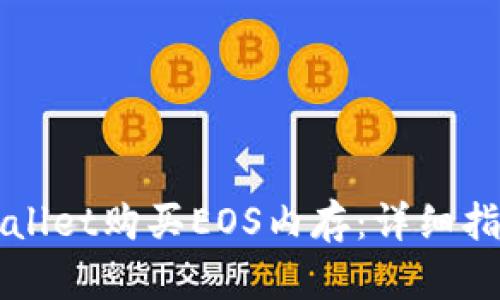 如何通过TPWallet购买EOS内存：详细指南与实用技巧