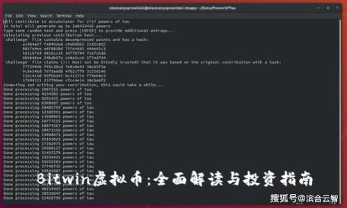Bitwin虚拟币：全面解读与投资指南