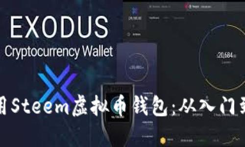 : 如何选择和使用Steem虚拟币钱包：从入门到进阶的全面指南