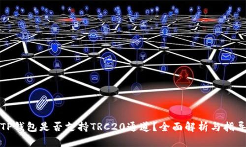 TP钱包是否支持TRC20通道？全面解析与指导