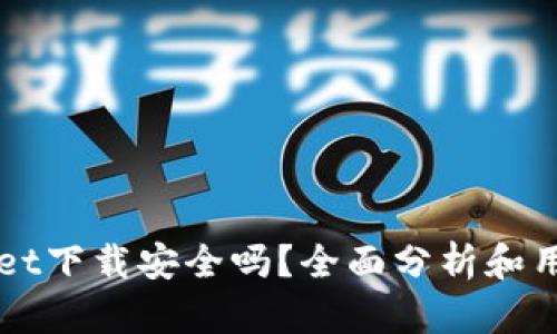 TPWallet下载安全吗？全面分析和用户指南