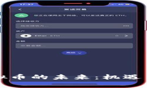 闵行区虚拟币的未来：机遇与挑战分析