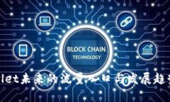 tpwallet未来的流量入口与发展趋势分析