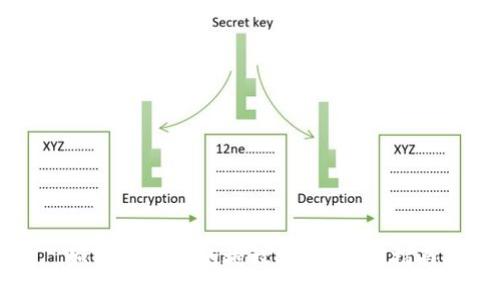 如何查询TP的授权状态：详细指南