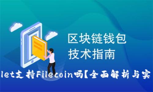 TPWallet支持Filecoin吗？全面解析与实用指南
