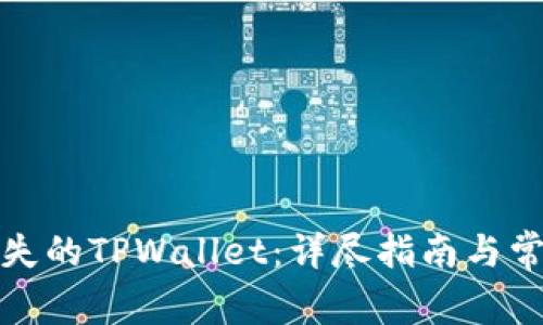 如何找回丢失的TPWallet：详尽指南与常见问题解答